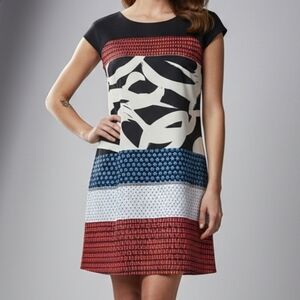 Express printed dress